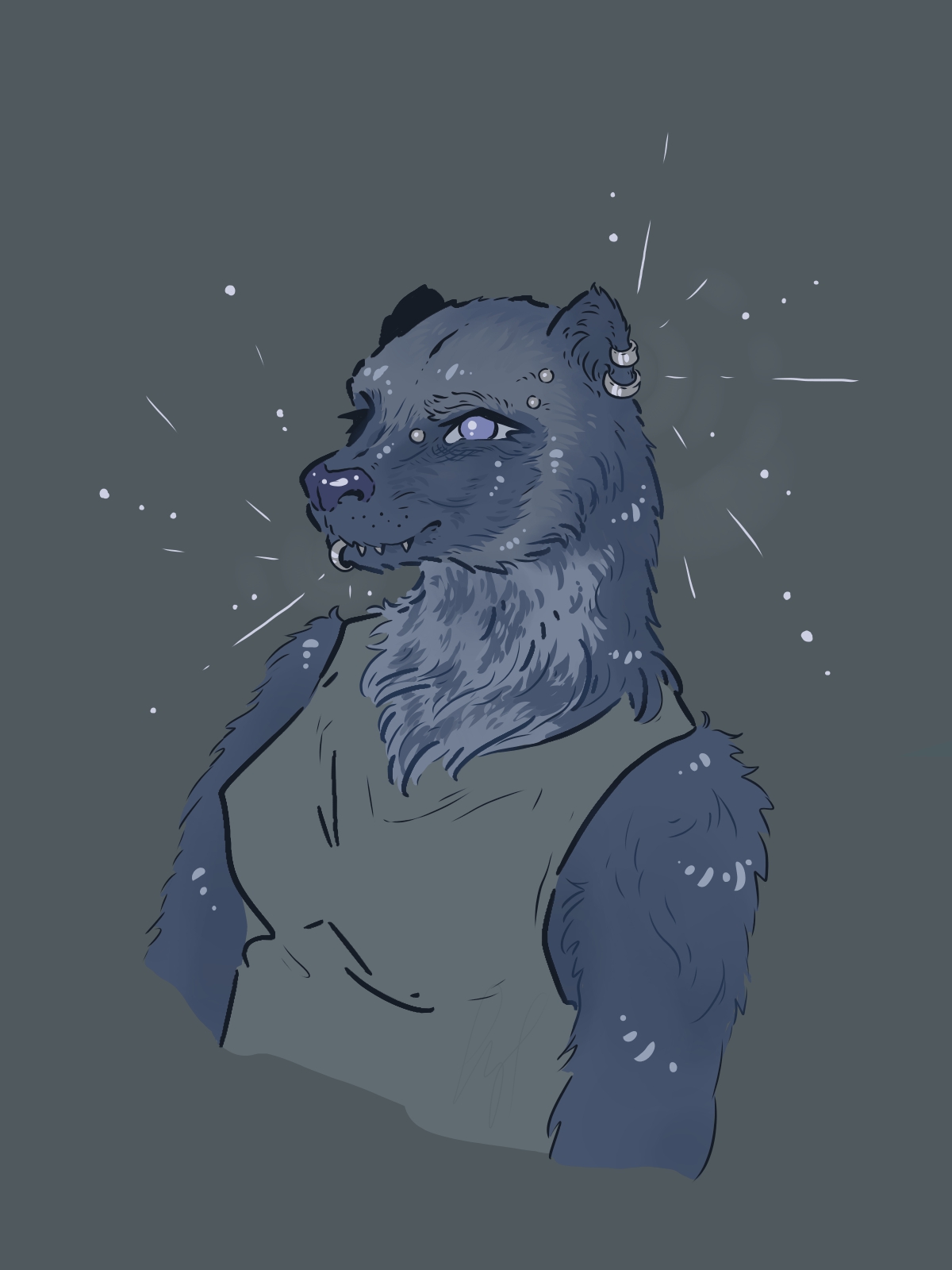 Blue Wolverine
